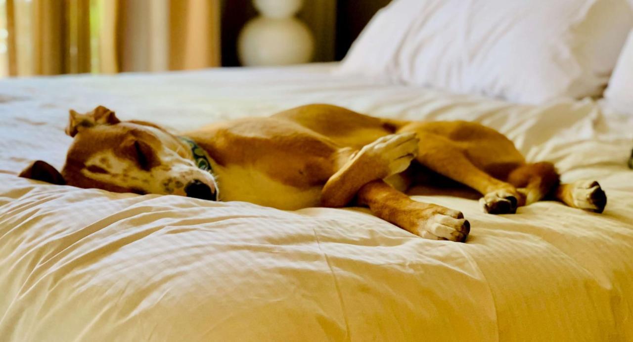Sonesta Simply Suites Houston W Beltway エクステリア 写真